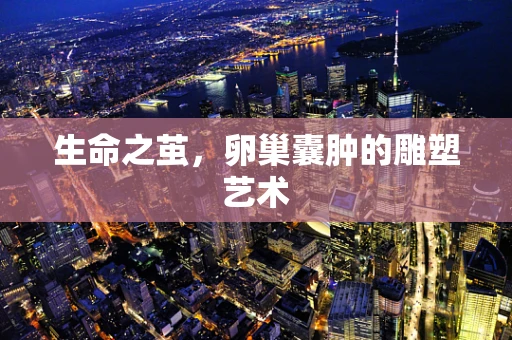 生命之茧，卵巢囊肿的雕塑艺术