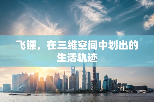 飞镖，在三维空间中划出的生活轨迹