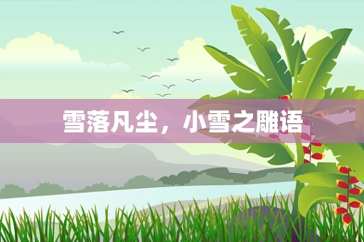 雪落凡尘，小雪之雕语