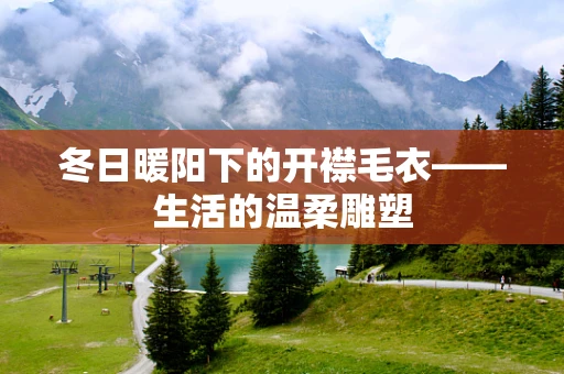 冬日暖阳下的开襟毛衣——生活的温柔雕塑