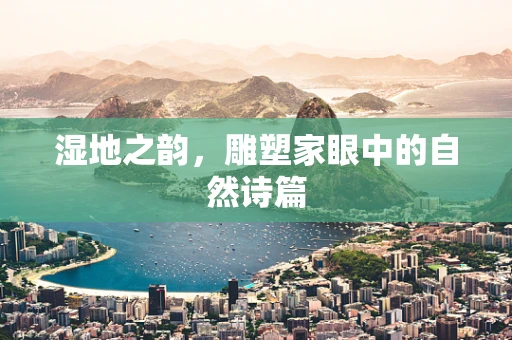 湿地之韵，雕塑家眼中的自然诗篇