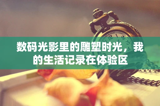 数码光影里的雕塑时光，我的生活记录在体验区