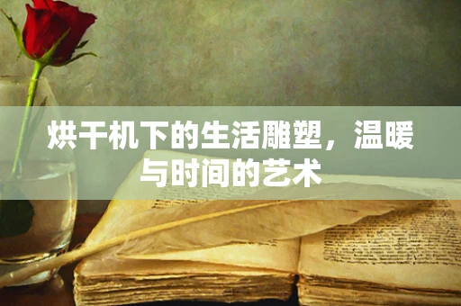 烘干机下的生活雕塑，温暖与时间的艺术