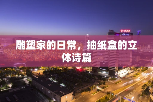 雕塑家的日常，抽纸盒的立体诗篇