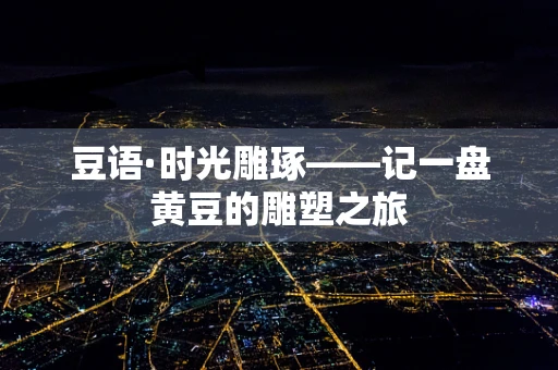 豆语·时光雕琢——记一盘黄豆的雕塑之旅