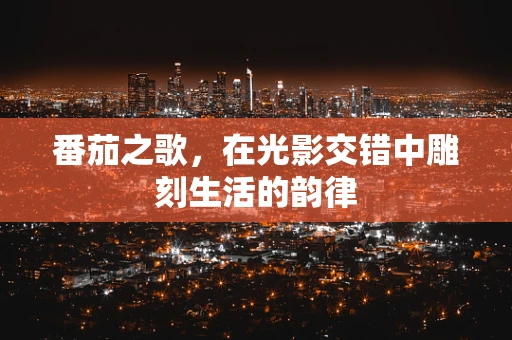 番茄之歌，在光影交错中雕刻生活的韵律