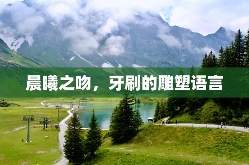 晨曦之吻，牙刷的雕塑语言