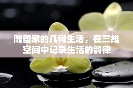 雕塑家的几何生活，在三维空间中记录生活的韵律