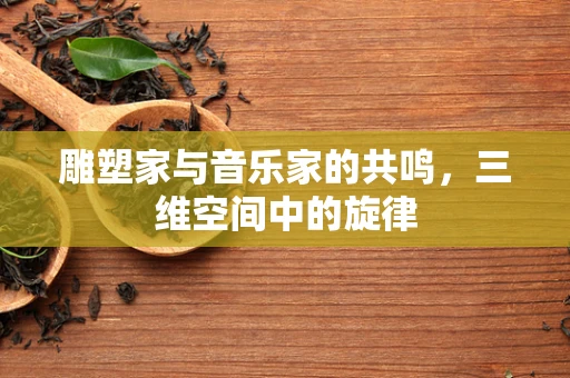 雕塑家与音乐家的共鸣，三维空间中的旋律