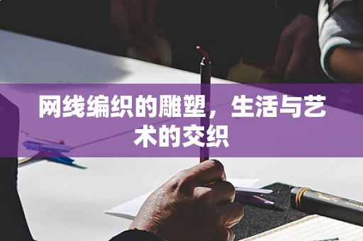 网线编织的雕塑，生活与艺术的交织