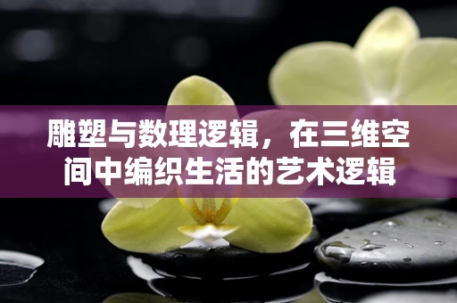 雕塑与数理逻辑，在三维空间中编织生活的艺术逻辑