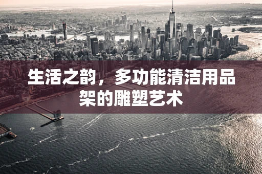 生活之韵，多功能清洁用品架的雕塑艺术