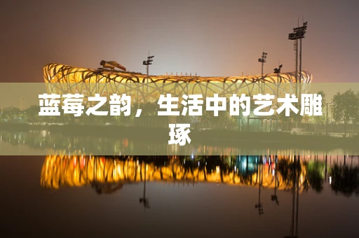 蓝莓之韵，生活中的艺术雕琢