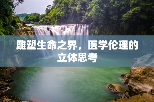 雕塑生命之界，医学伦理的立体思考