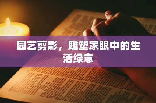 园艺剪影，雕塑家眼中的生活绿意