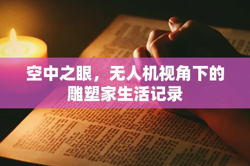 空中之眼，无人机视角下的雕塑家生活记录