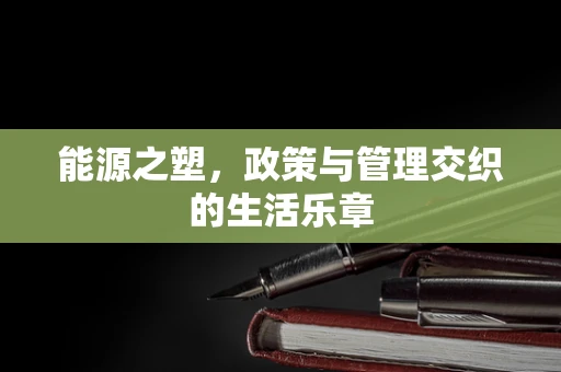 能源之塑，政策与管理交织的生活乐章