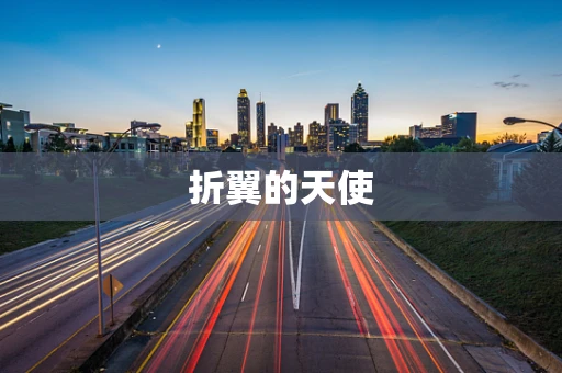 折翼的天使