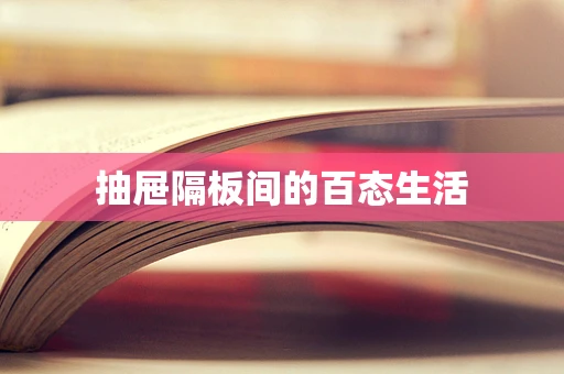 抽屉隔板间的百态生活