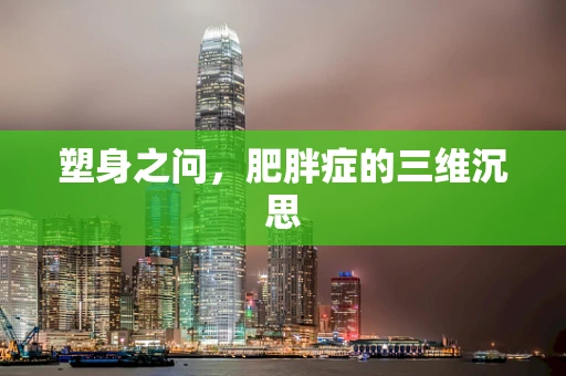 塑身之问，肥胖症的三维沉思