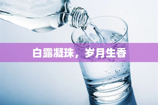 白露凝珠，岁月生香