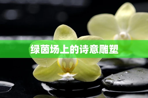 绿茵场上的诗意雕塑