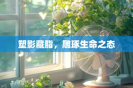 塑影藏脂，雕琢生命之态