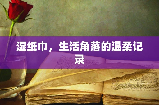 湿纸巾，生活角落的温柔记录