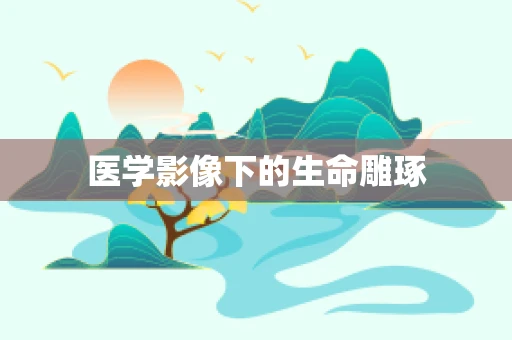 医学影像下的生命雕琢