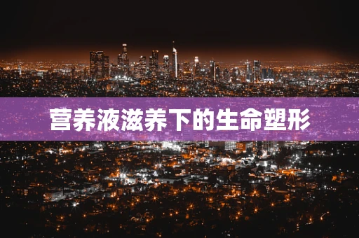 营养液滋养下的生命塑形