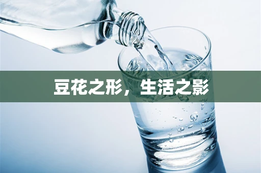 豆花之形，生活之影