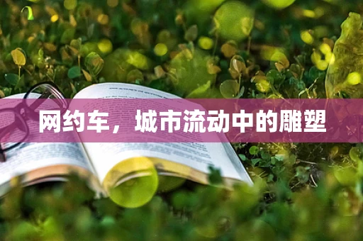 网约车，城市流动中的雕塑