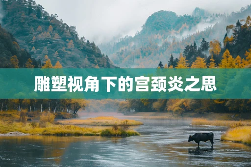 雕塑视角下的宫颈炎之思