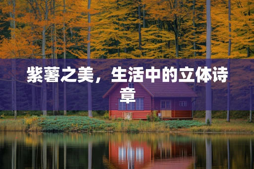 紫薯之美，生活中的立体诗章