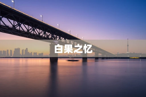 白果之忆