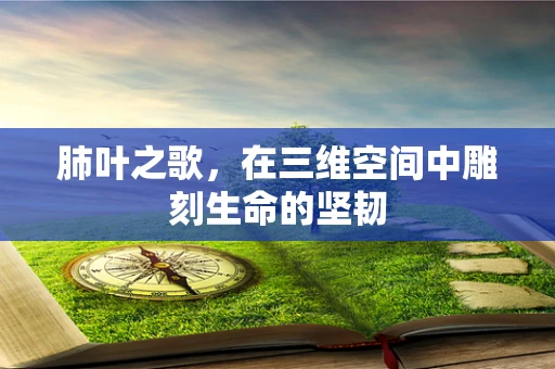 肺叶之歌，在三维空间中雕刻生命的坚韧