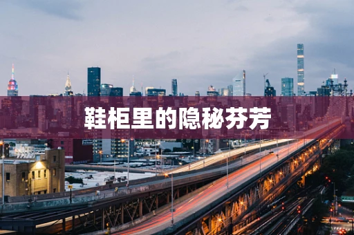鞋柜里的隐秘芬芳