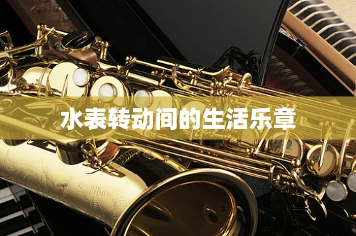 水表转动间的生活乐章