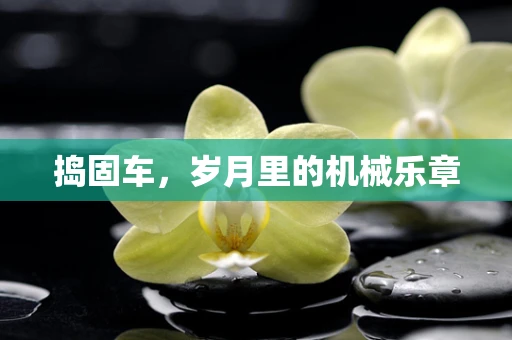 捣固车，岁月里的机械乐章