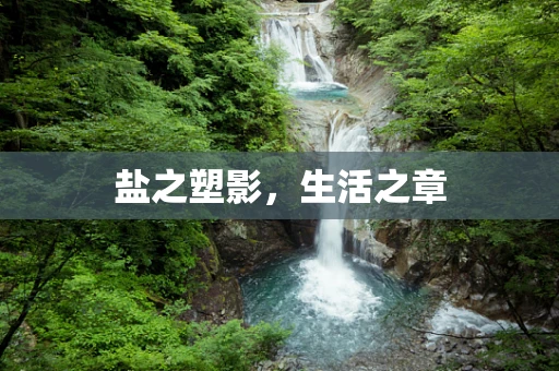 盐之塑影，生活之章