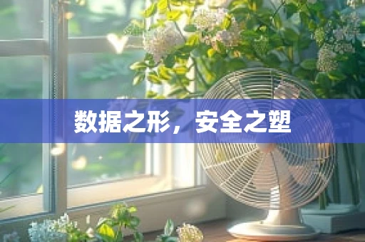 数据之形，安全之塑