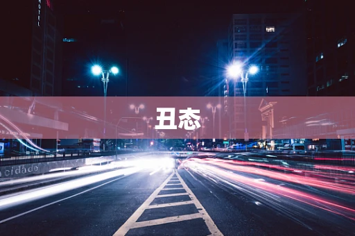 丑态