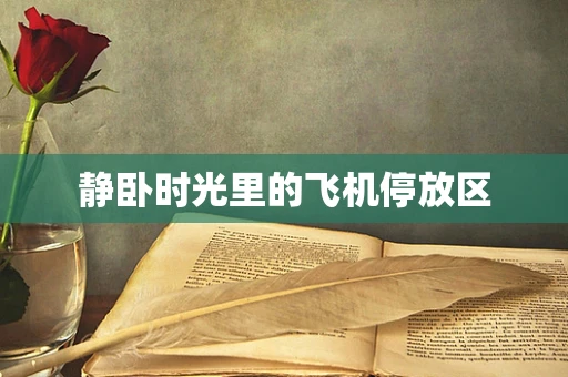 静卧时光里的飞机停放区