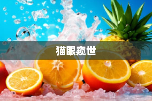 猫眼窥世
