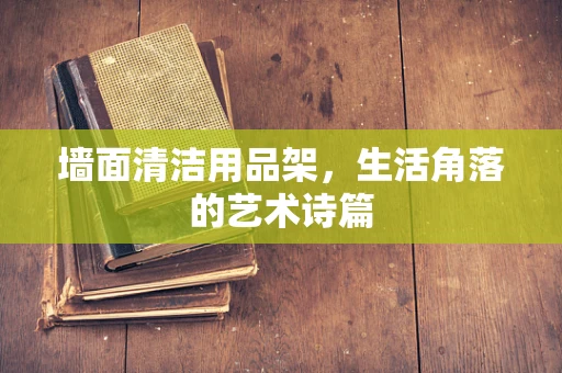 墙面清洁用品架，生活角落的艺术诗篇