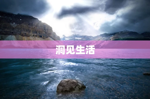 洞见生活