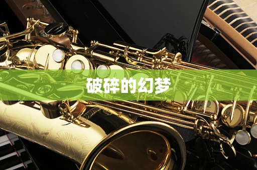 破碎的幻梦