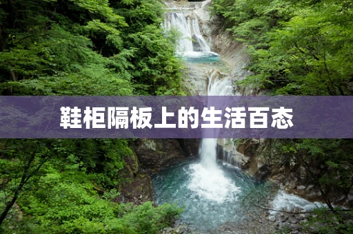 鞋柜隔板上的生活百态