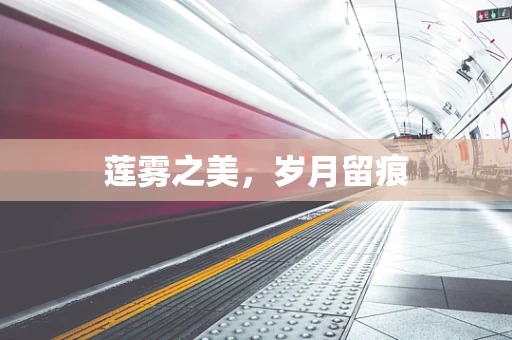 莲雾之美，岁月留痕