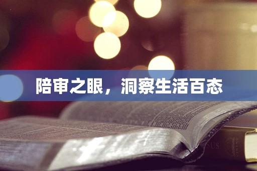 陪审之眼，洞察生活百态